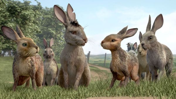 gambar animasi kelinci bergerak