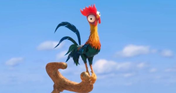 gambar ayam animasi