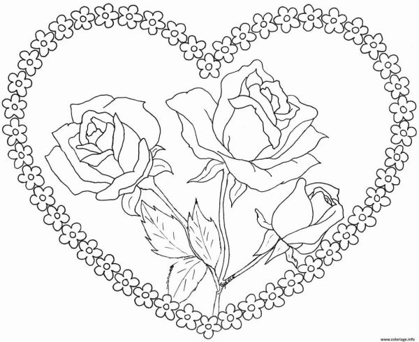 gambar bunga mawar untuk diwarnai