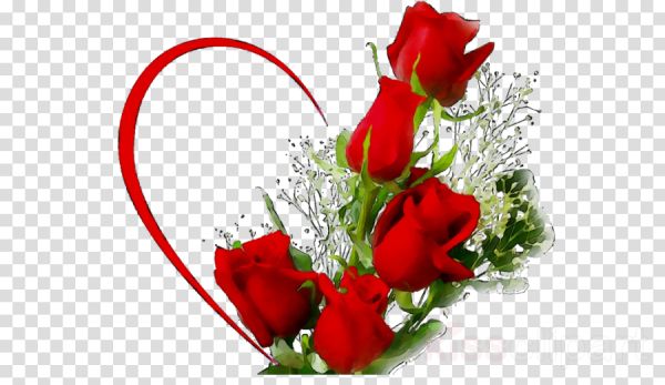 gambar bunga mawar untuk pacar