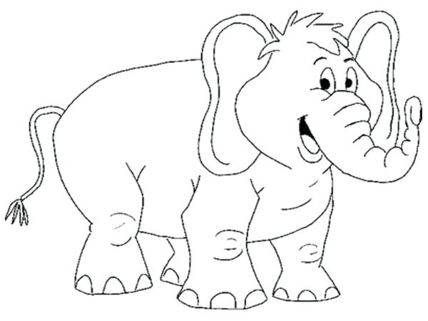gambar gajah untuk diwarnai
