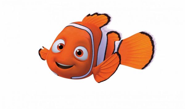gambar ikan animasi