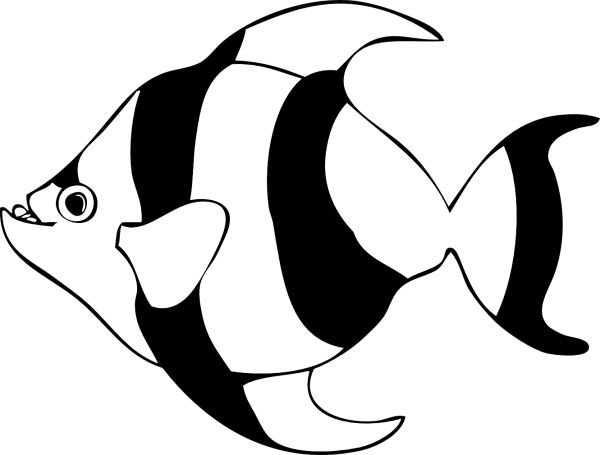 gambar ikan hitam putih