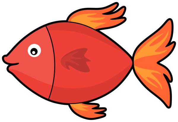 gambar kartun ikan