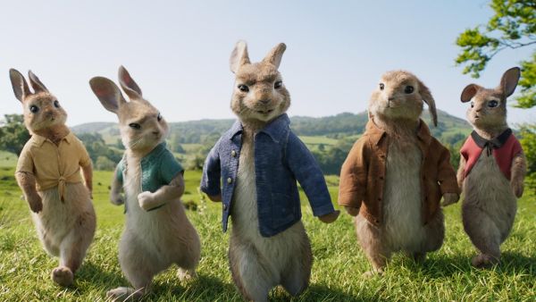 gambar kelinci animasi
