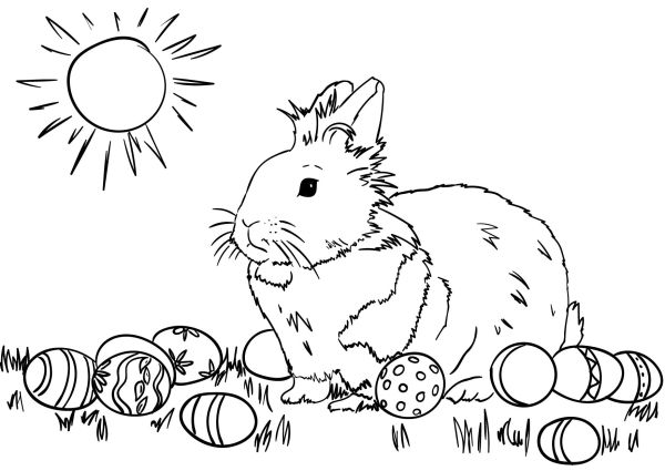 gambar kelinci hitam putih untuk diwarnai