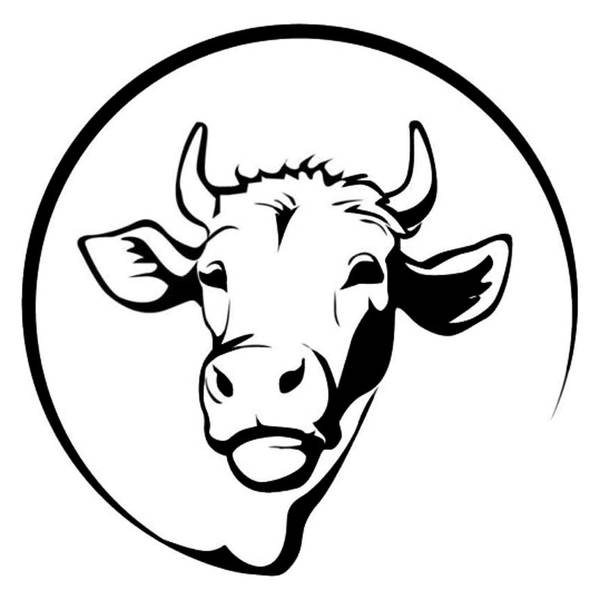 gambar kepala sapi