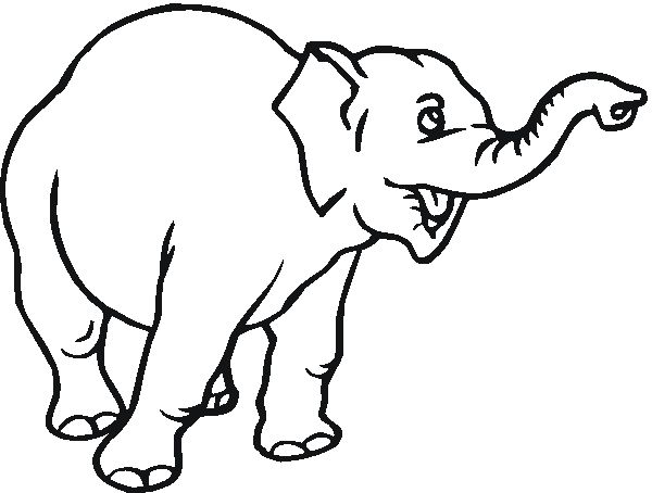 gambar mewarnai gajah