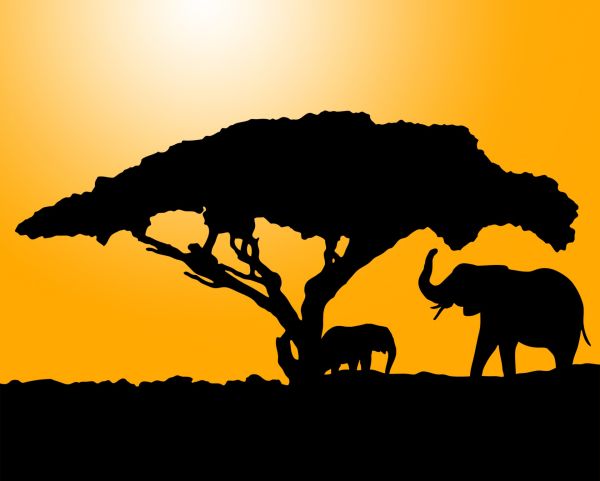 gambar siluet gajah