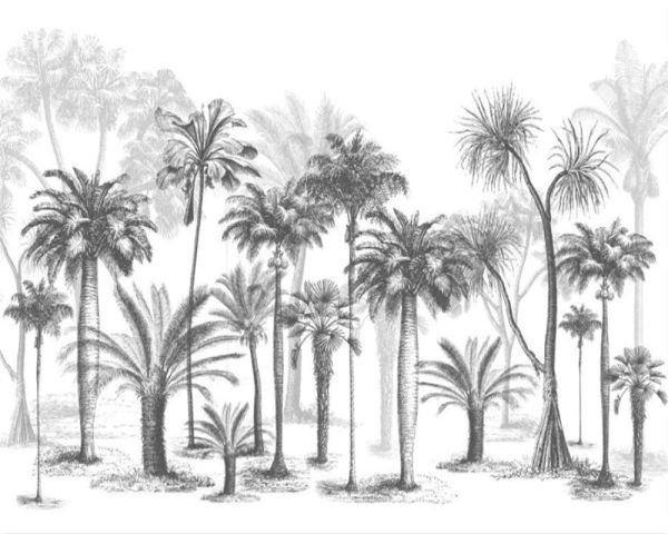 gambar sketsa pohon kelapa