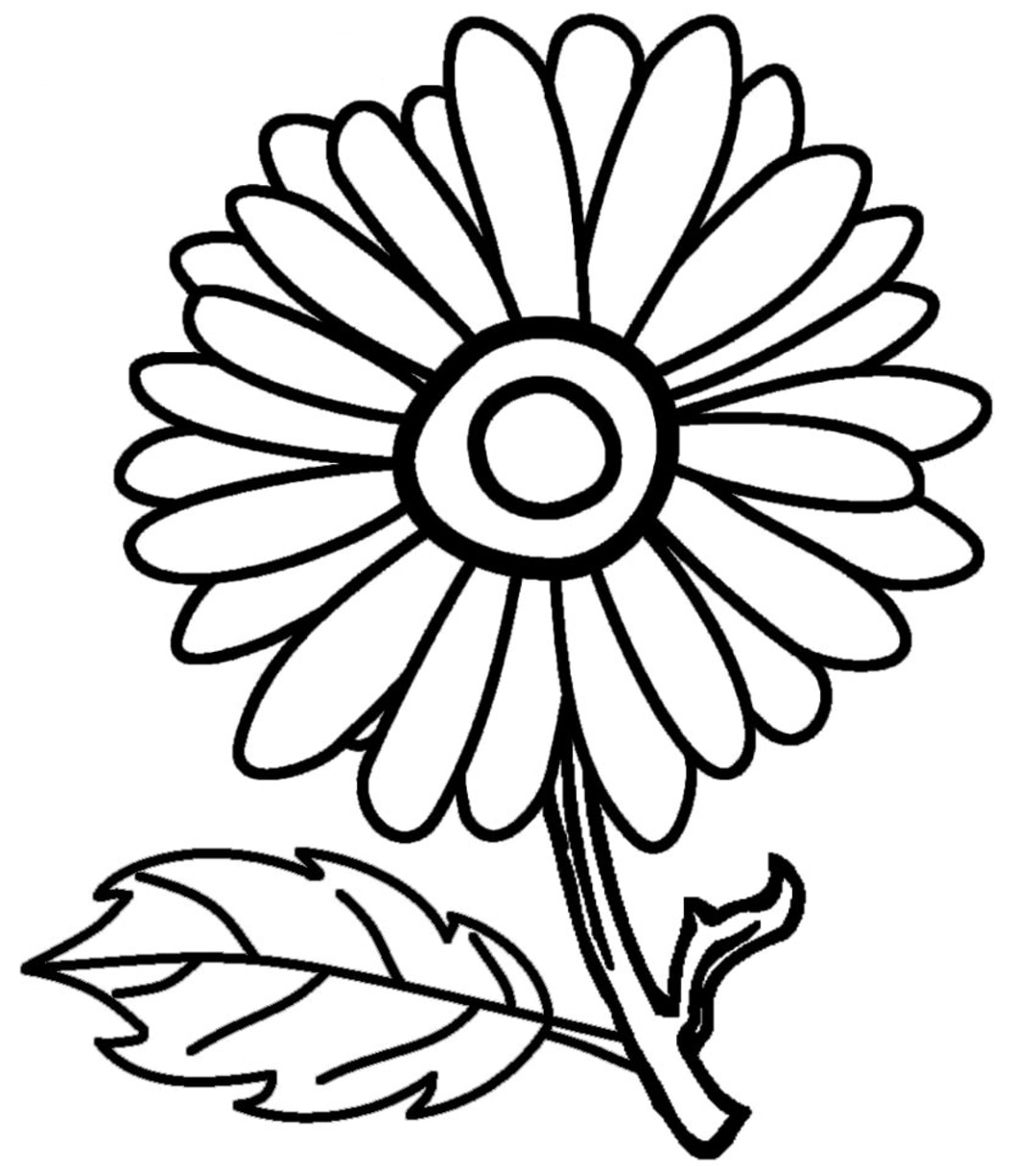 gambar bunga matahari untuk mewarnai 1