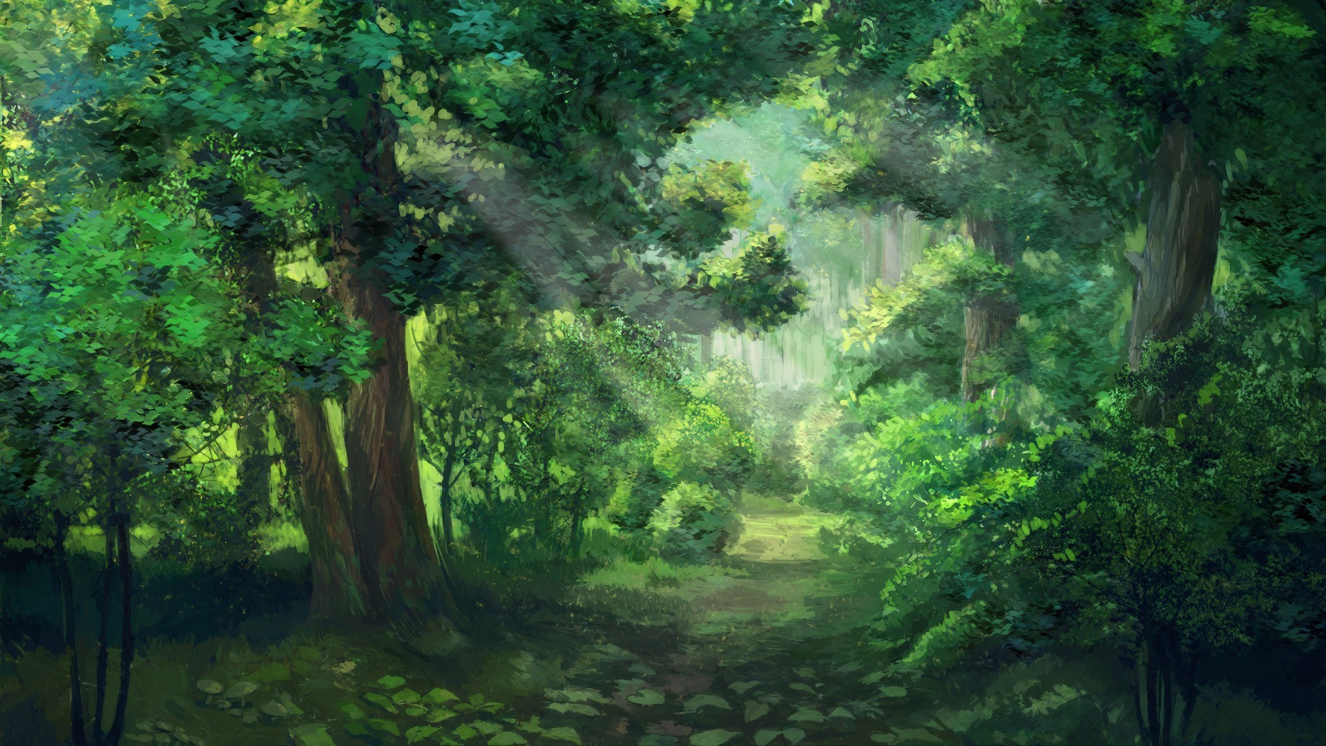 gambar hutan