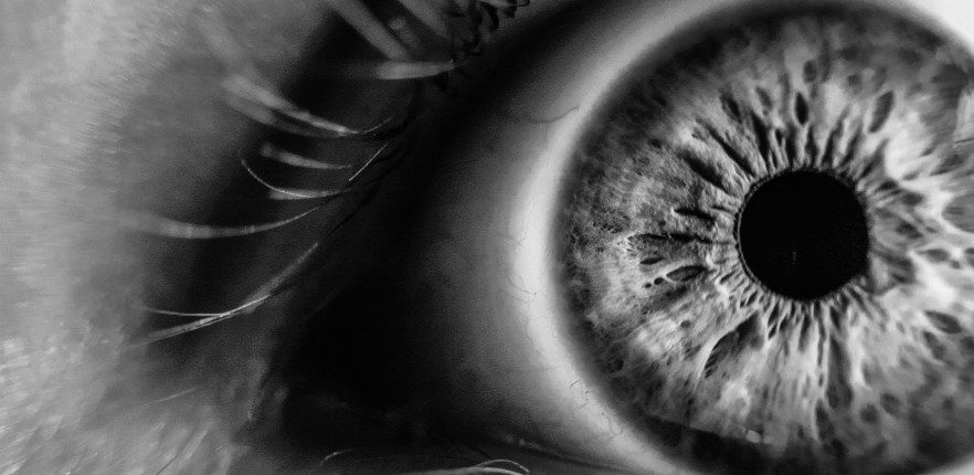 gambar organ mata