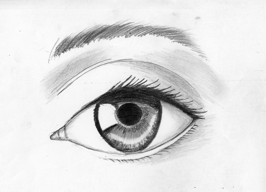 gambar sketsa mata manusia