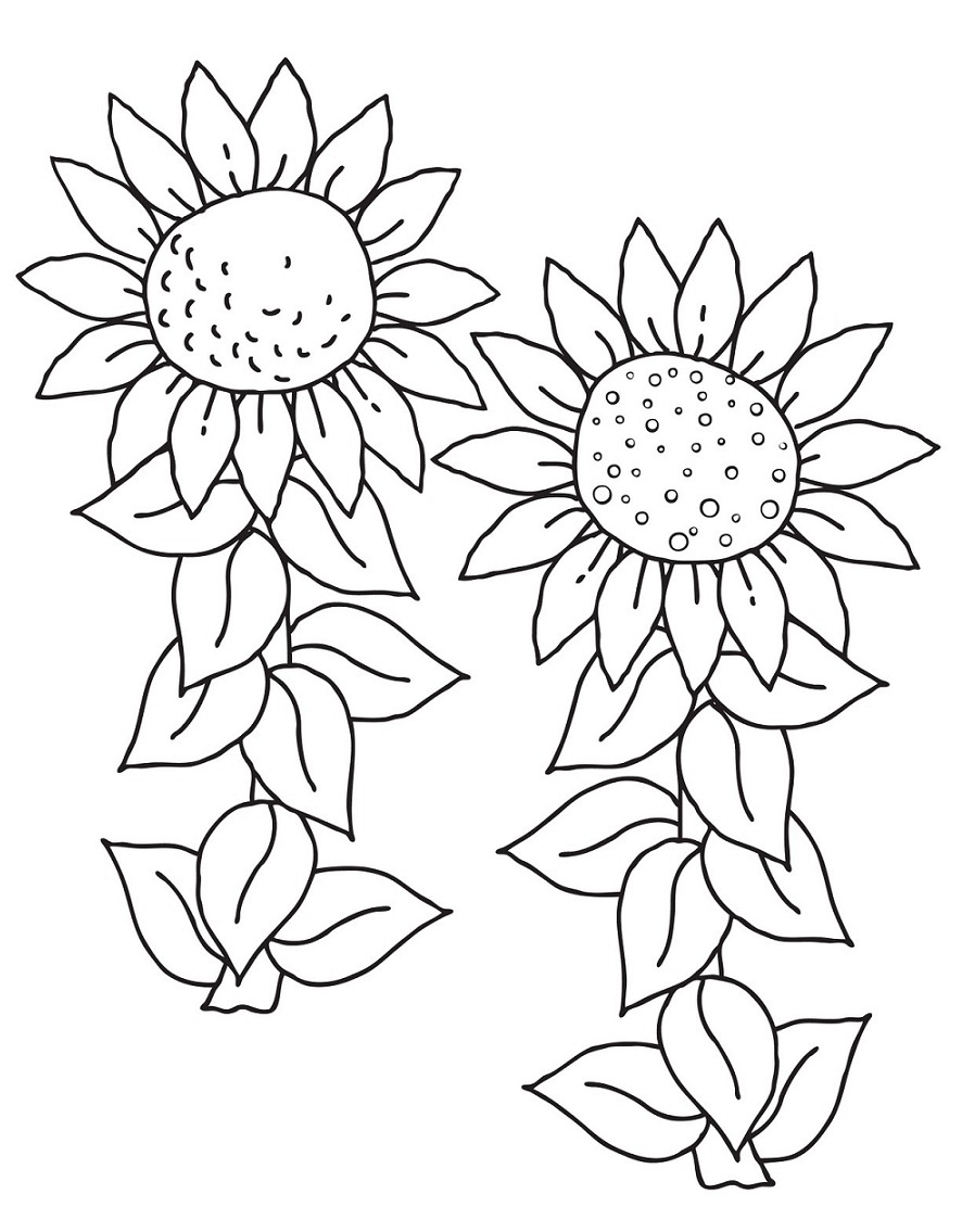 sketsa gambar bunga matahari 1