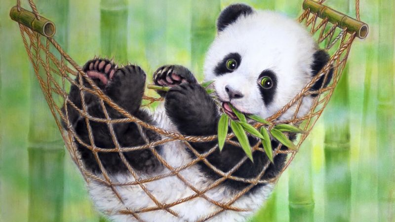 gambar bayi panda