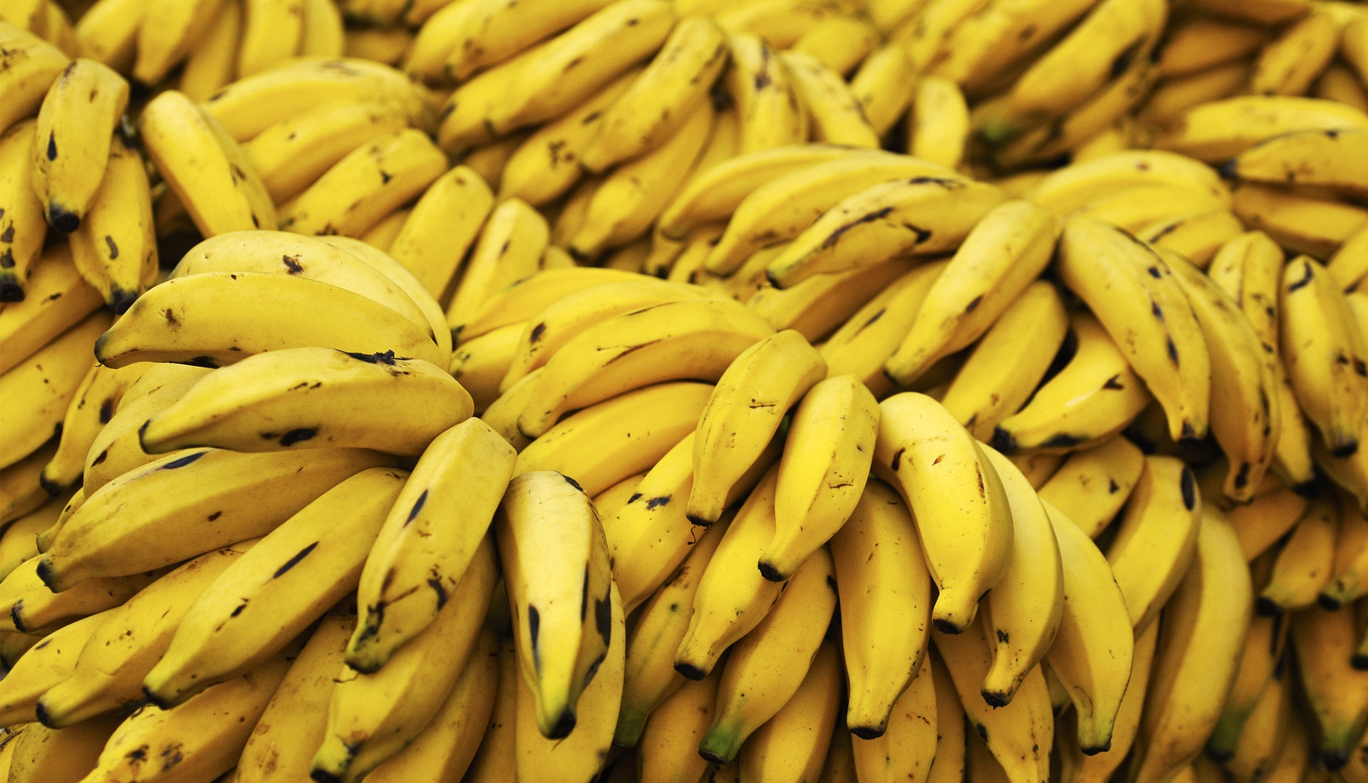 gambar buah pisang segar