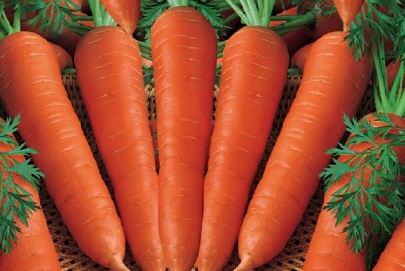gambar buah wortel