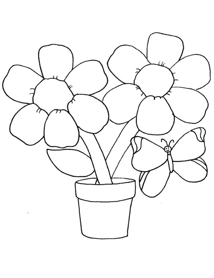 gambar flora bunga sketsa