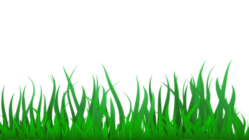 gambar kartun rumput