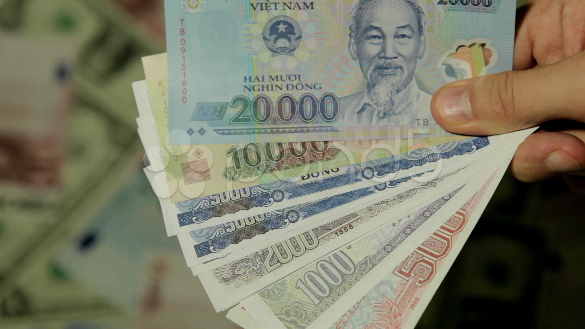 gambar mata uang vietnam