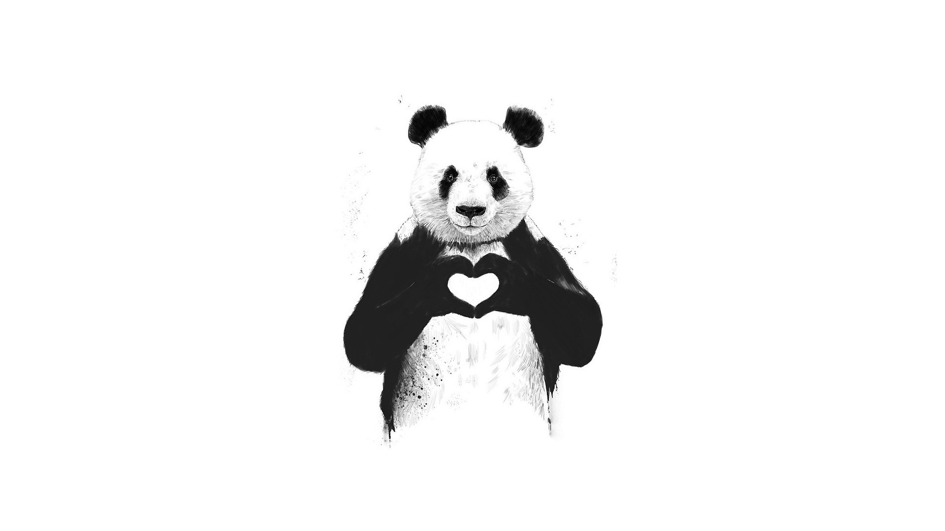 gambar panda hitam putih