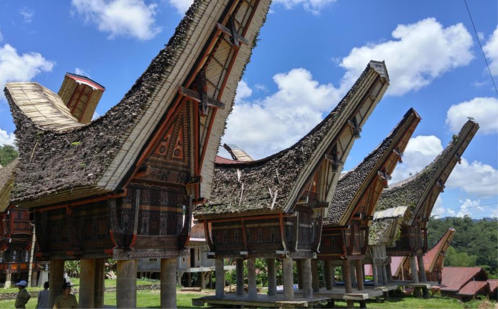 gambar rumah adat sulawesi selatan tongkonan