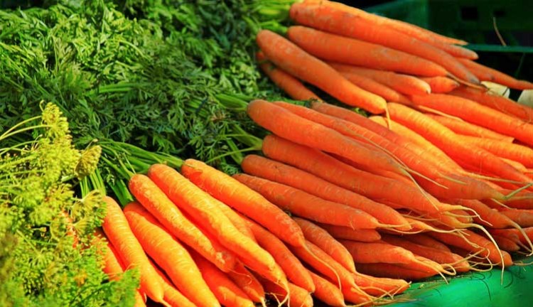 gambar sayur wortel