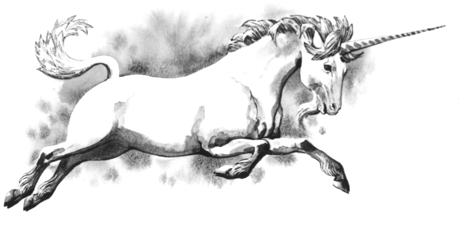 gambar unicorn hitam putih