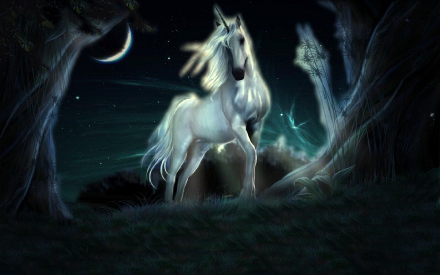 gambar unicorn putih