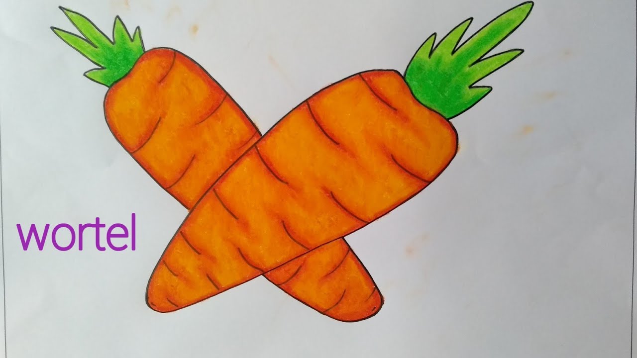 gambar wortel kartun hd