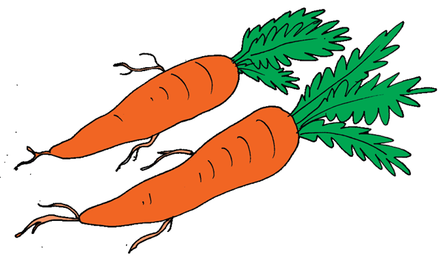 gambar wortel kartun