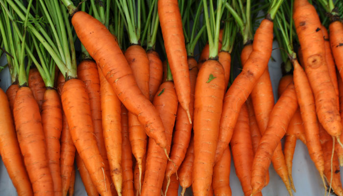 kandungan manfaat wortel