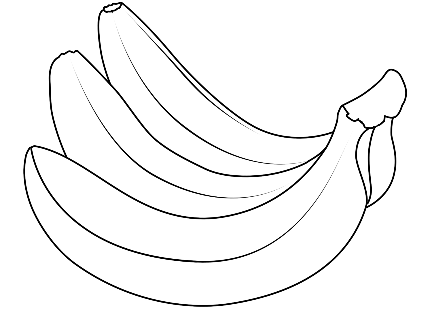 sketsa gambar pisang