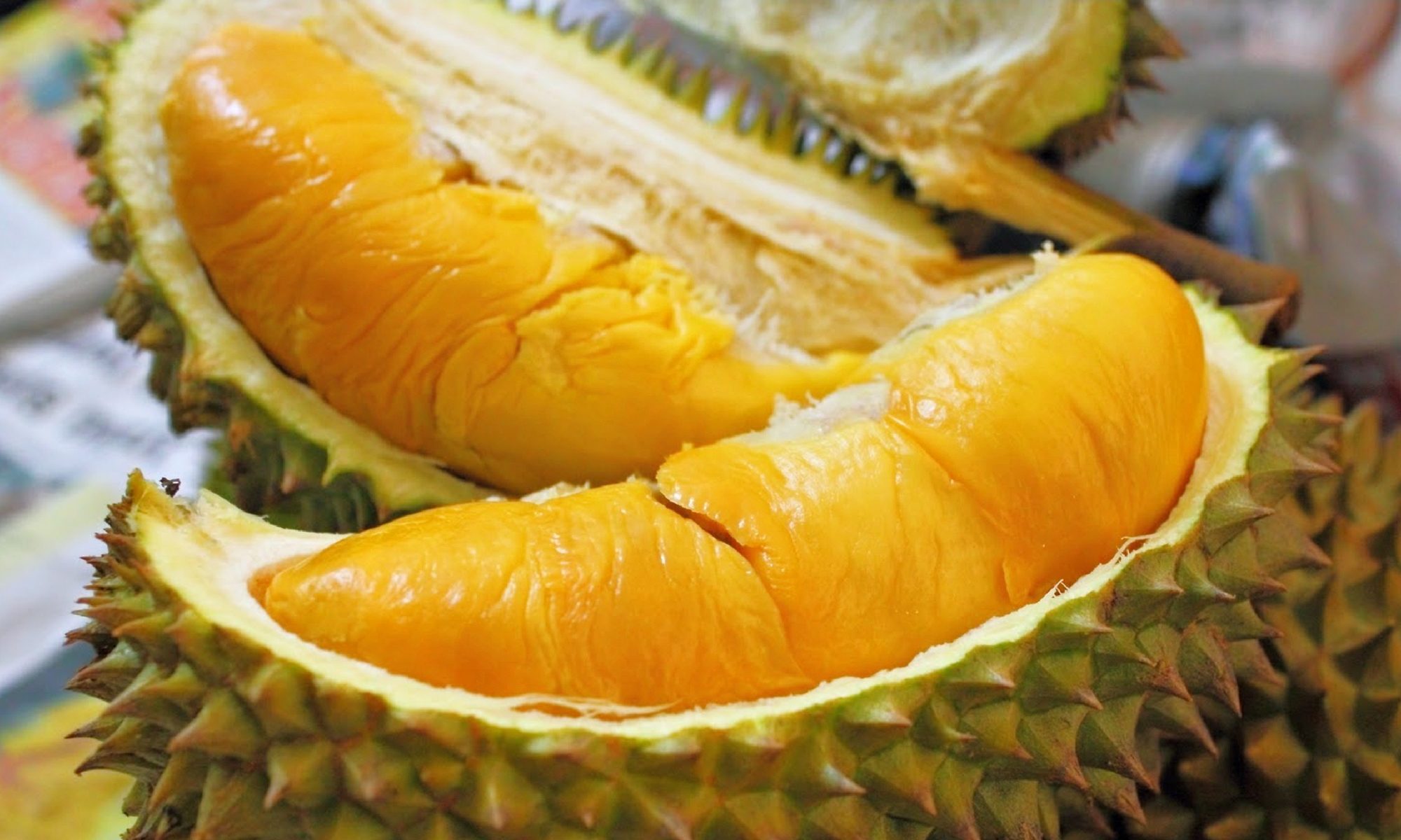 gambar buah buahan durian
