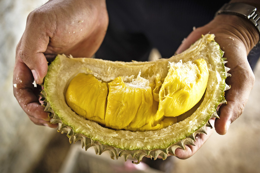 gambar buah durian manis