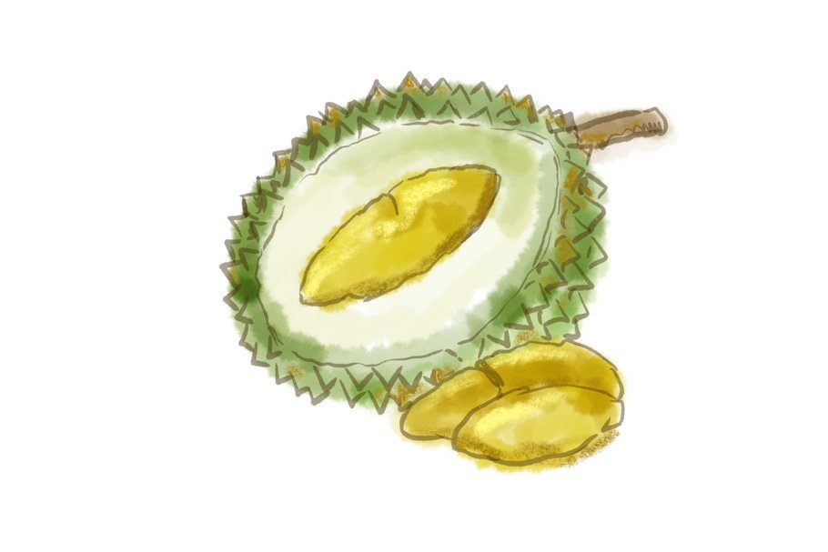 gambar durian animasi