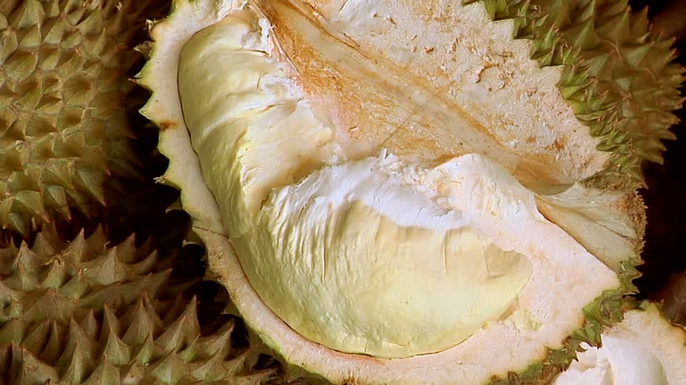 gambar durian bagkok