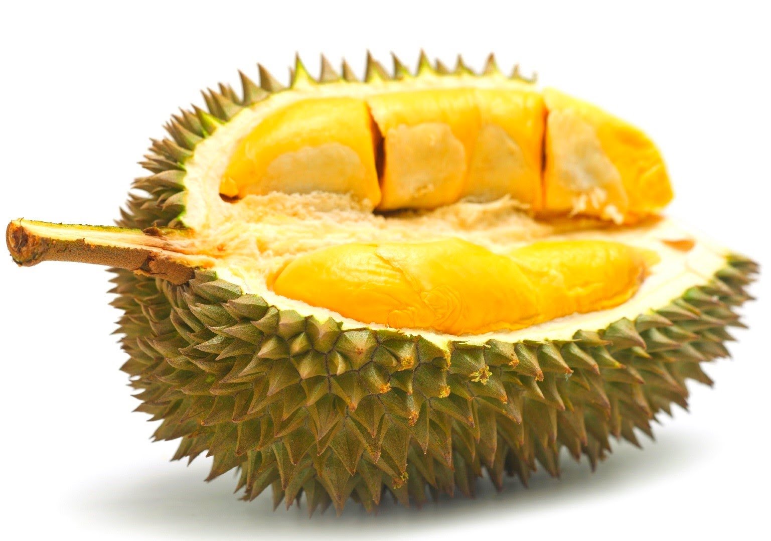 gambar durian buah