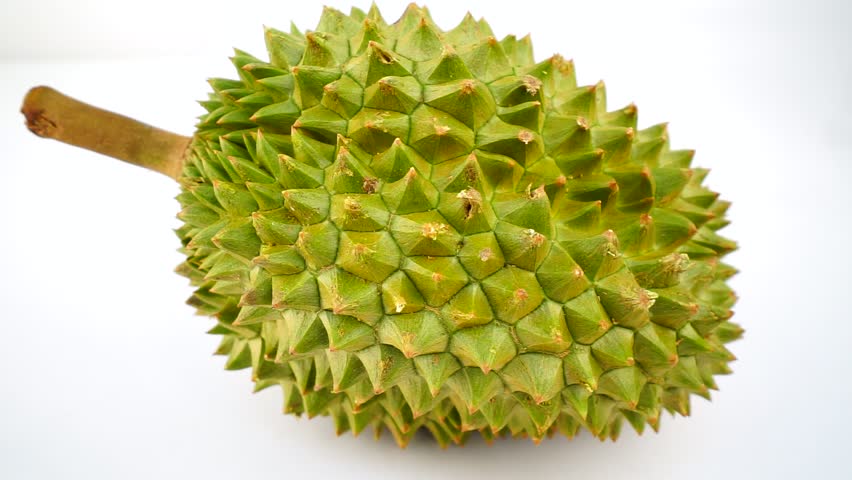 gambar durian segar