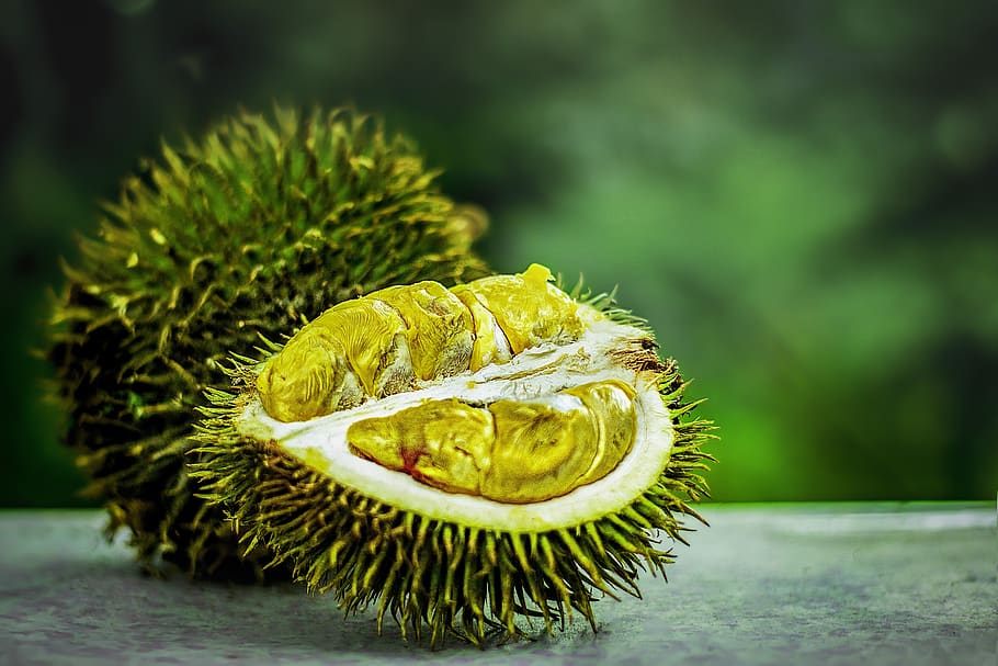 gambar durian wallpaper