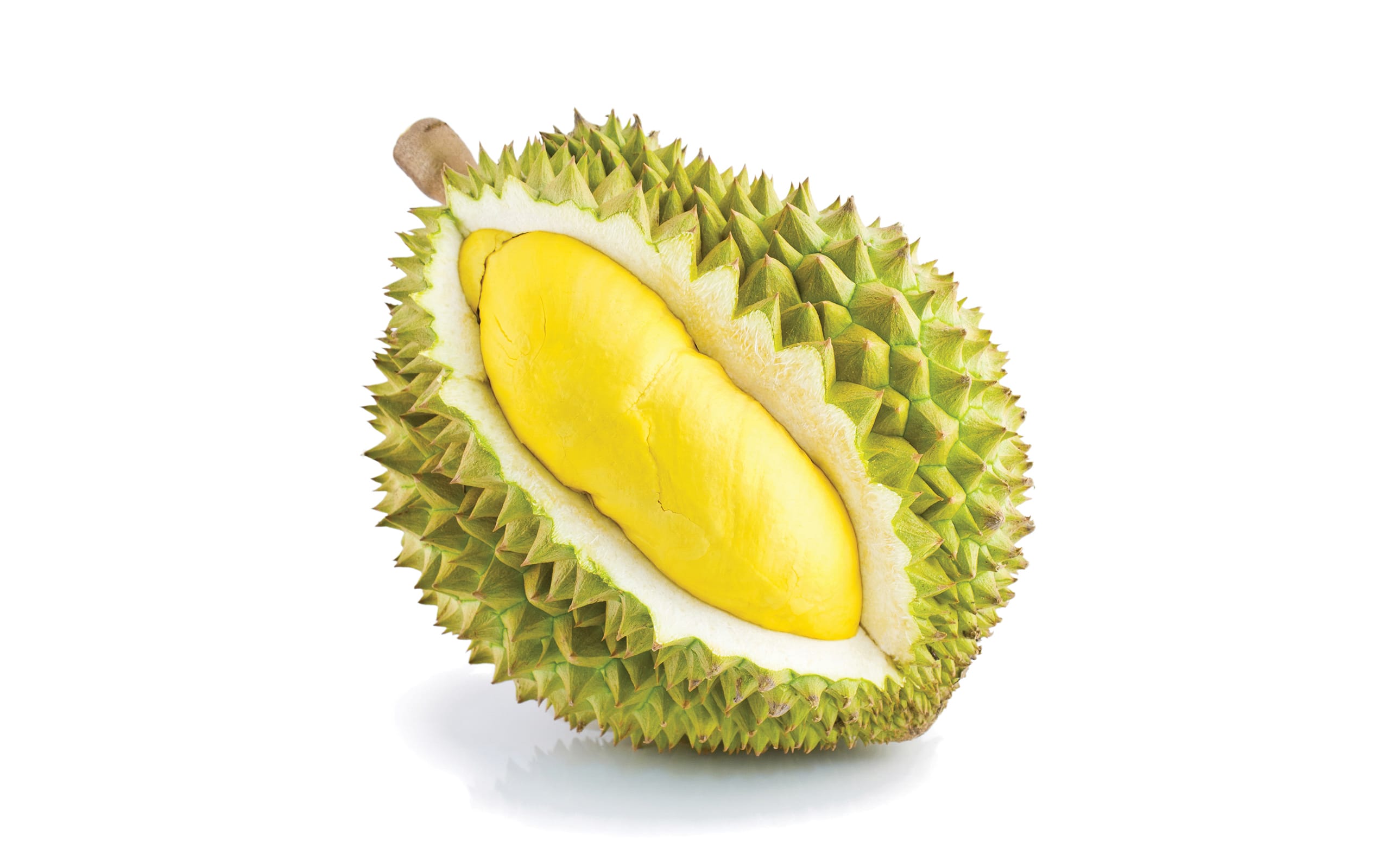 gambar durian