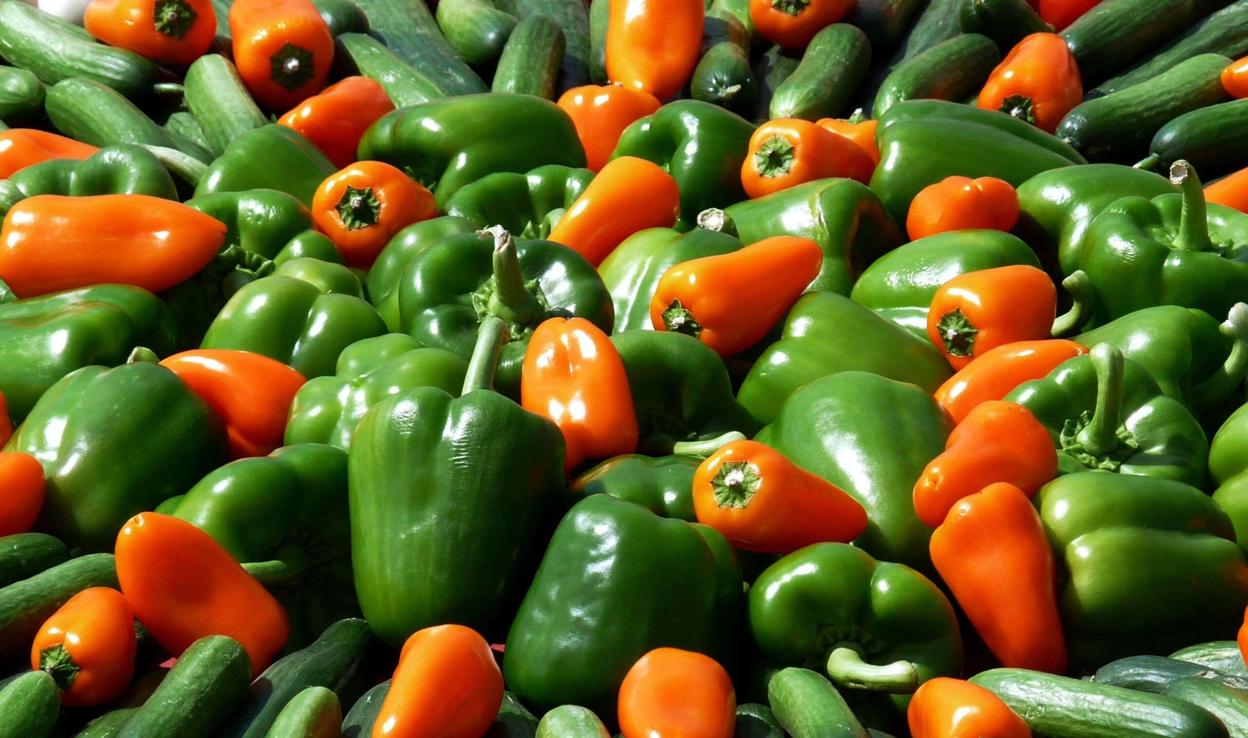 gambar sayuran paprika