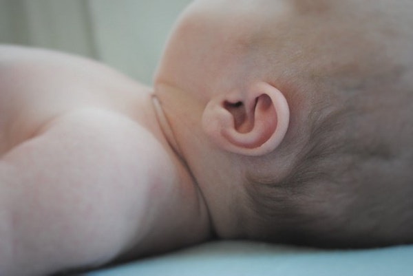 gambar telinga bayi