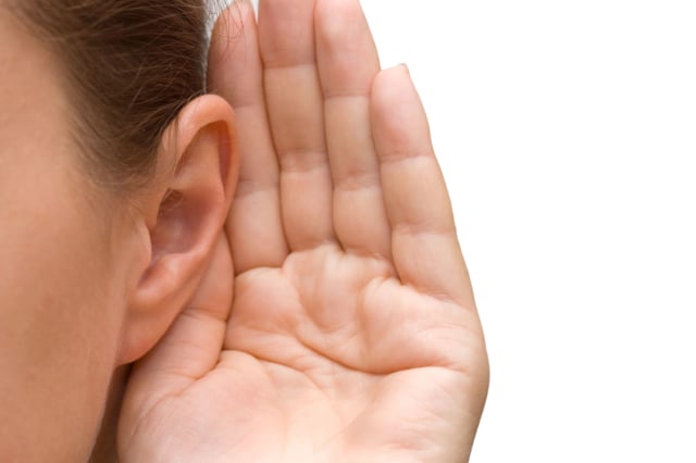 gmabar telinga
