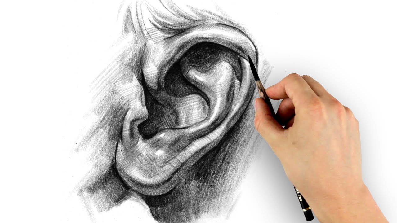 lukisan gambar telinga