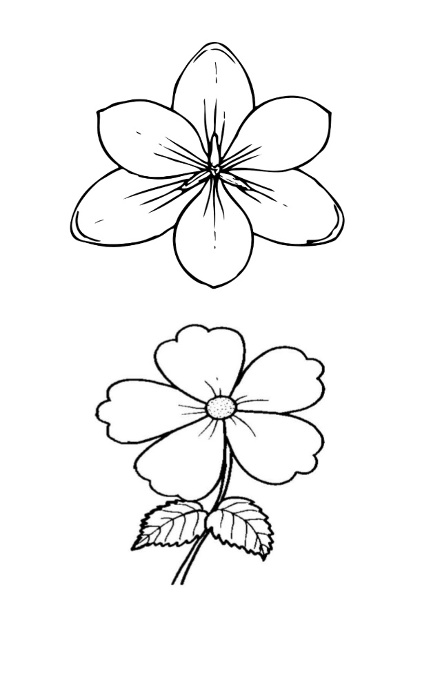 bunga sketsa gambar