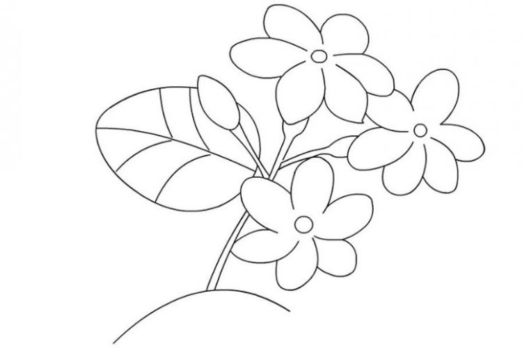 contoh gambar sketsa bunga