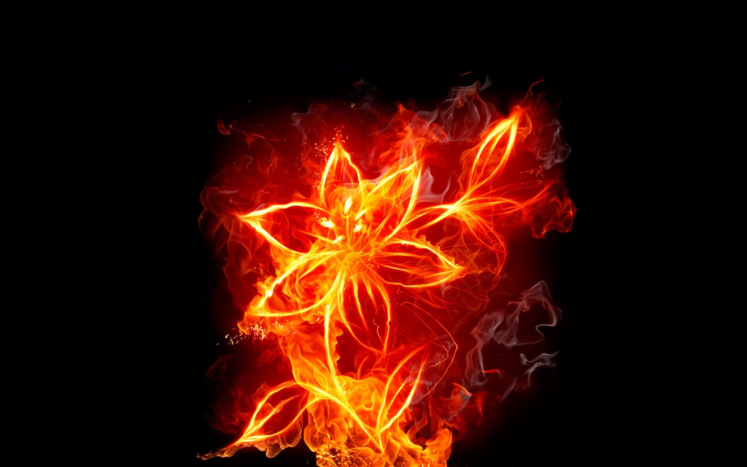 gambar api bentuk bunga