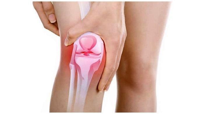 gambar bagian tubuh lutut